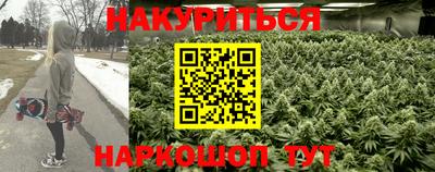 гидропоника Краснознаменск