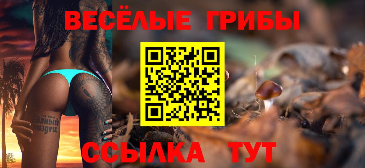 Псилоцибиновые грибы мицелий Туапсе